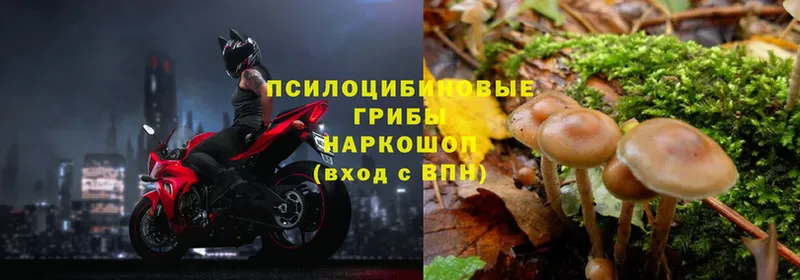 Галлюциногенные грибы Magic Shrooms  где купить наркоту  mega онион  Дегтярск 